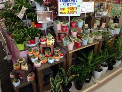 【悲報】真っ当に育った大人「植物がさー、お皿がさー、舞台がさー」真っ当じゃない大人「外食がさー、グッズがさー、映画がさー…」 | 【悲報】真っ当に育った大人「植物がさー、お皿がさー、舞台がさー」真っ当じゃない大人「外食がさー、グッズがさー、映画がさー…」 | 【悲報】真っ当に育った大人「植物がさー、お皿がさー、舞台がさー」真っ当じゃない大人「外食がさー、グッズがさー、映画がさー…」 | 【悲報】真っ当に育った大人「植物がさー、お皿がさー、舞台がさー」真っ当じゃない大人「外食がさー、グッズがさー、映画がさー…」 | やっちまった速報(画像13014438633790_4)