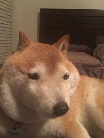 ネット民がなぜか全員見たことある画像ｗｗｗｗｗ | ネット民がなぜか全員見たことある画像ｗｗｗｗｗ | ネット民がなぜか全員見たことある画像ｗｗｗｗｗ | やっちまった速報(画像13074522289556_3)