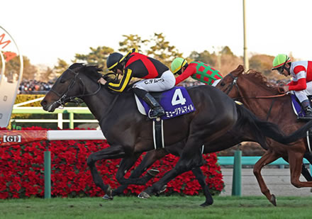 【競馬予想】第69回阪神牝馬ステークス(GⅡ) /2026
 | やっちまった速報(最新記事19)