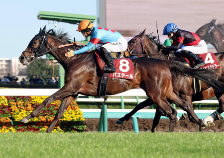 【衝撃】トランプ「今の教皇は糞！新しい教皇をアメリカが作るぞ！！！」
 | やっちまった速報(ピックアップ6)