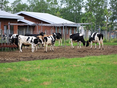 やっちまった速報(ピックアップ8)