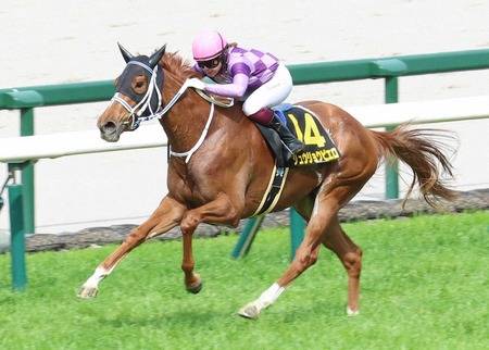 バカ「地球外生命体はいる！」←いる訳ねえだろｗｗｗｗｗｗ
 | やっちまった速報(最新記事15)