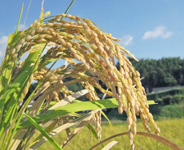 武豊「ディープでサイレンススズカを差せるか？わからないですね」
 | やっちまった速報(最新記事3)