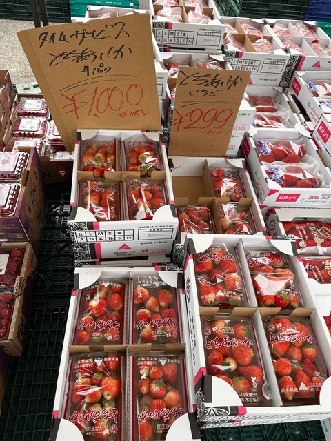 【悲報】日本人の「フルーツ離れ」ガチで深刻になる・・・・・ | 【悲報】日本人の「フルーツ離れ」ガチで深刻になる・・・・・ | 【悲報】日本人の「フルーツ離れ」ガチで深刻になる・・・・・ | 【悲報】日本人の「フルーツ離れ」ガチで深刻になる・・・・・ | やっちまった速報(画像17012348415877_4)