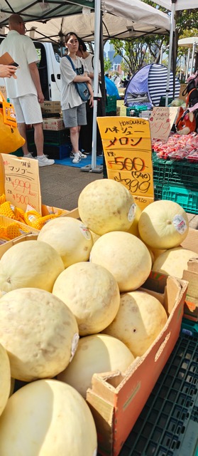 【悲報】日本人の「フルーツ離れ」ガチで深刻になる・・・・・ | 【悲報】日本人の「フルーツ離れ」ガチで深刻になる・・・・・ | 【悲報】日本人の「フルーツ離れ」ガチで深刻になる・・・・・ | 【悲報】日本人の「フルーツ離れ」ガチで深刻になる・・・・・ | 【悲報】日本人の「フルーツ離れ」ガチで深刻になる・・・・・ | やっちまった速報(画像17012348870330_5)