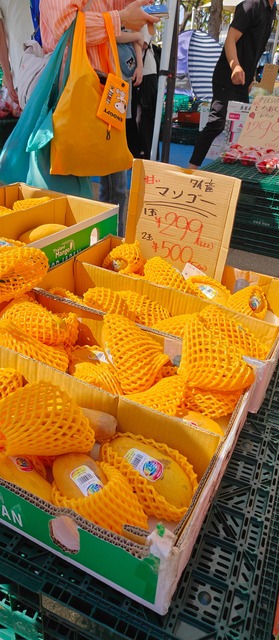 【悲報】日本人の「フルーツ離れ」ガチで深刻になる・・・・・ | 【悲報】日本人の「フルーツ離れ」ガチで深刻になる・・・・・ | 【悲報】日本人の「フルーツ離れ」ガチで深刻になる・・・・・ | 【悲報】日本人の「フルーツ離れ」ガチで深刻になる・・・・・ | 【悲報】日本人の「フルーツ離れ」ガチで深刻になる・・・・・ | 【悲報】日本人の「フルーツ離れ」ガチで深刻になる・・・・・ | やっちまった速報(画像17012349347210_6)