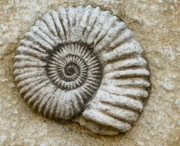 【悲報】主婦年金廃止でXの専業主婦がブチギレてしまうｗｗｗｗｗｗ
 | やっちまった速報(ピックアップ2)