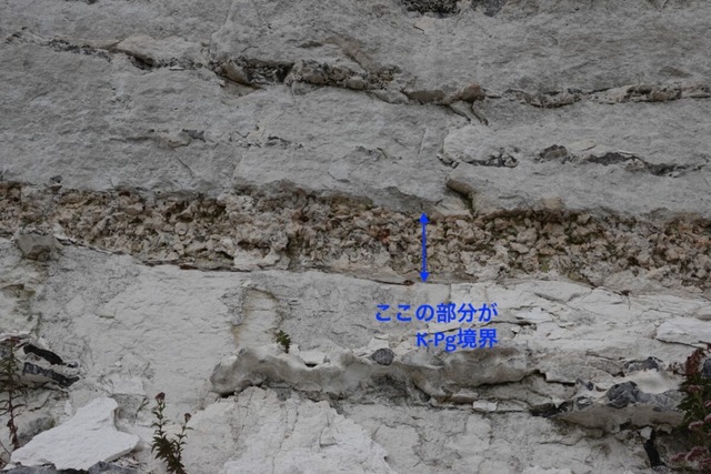 【画像】歴史上最も『貴重な化石』ランキングTOP10発表するぞｗｗｗｗ | 【画像】歴史上最も『貴重な化石』ランキングTOP10発表するぞｗｗｗｗ | 【画像】歴史上最も『貴重な化石』ランキングTOP10発表するぞｗｗｗｗ | やっちまった速報(画像17042321000365_3)