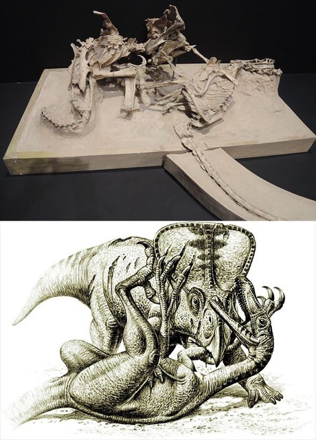 【画像】歴史上最も『貴重な化石』ランキングTOP10発表するぞｗｗｗｗ | 【画像】歴史上最も『貴重な化石』ランキングTOP10発表するぞｗｗｗｗ | 【画像】歴史上最も『貴重な化石』ランキングTOP10発表するぞｗｗｗｗ | 【画像】歴史上最も『貴重な化石』ランキングTOP10発表するぞｗｗｗｗ | 【画像】歴史上最も『貴重な化石』ランキングTOP10発表するぞｗｗｗｗ | 【画像】歴史上最も『貴重な化石』ランキングTOP10発表するぞｗｗｗｗ | 【画像】歴史上最も『貴重な化石』ランキングTOP10発表するぞｗｗｗｗ | 【画像】歴史上最も『貴重な化石』ランキングTOP10発表するぞｗｗｗｗ | やっちまった速報(画像17042323464172_8)