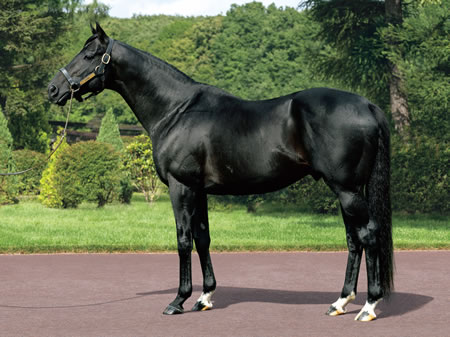 台の写真をパシャパシャ撮るオタクが不快すぎる
 | やっちまった速報(ピックアップ5)