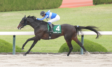 パチンコに遠隔って絶対あるよな
 | やっちまった速報(ピックアップ1)