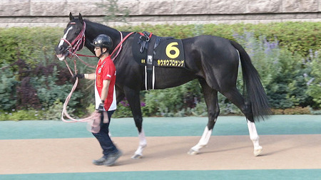 【疑問】宗教ってなんで許されてんの？　全部嘘っぱちなのに
 | やっちまった速報(ピックアップ2)