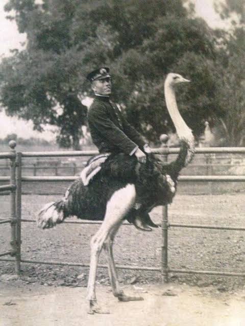 【画像】江戸時代の武士、ガチでエジプト旅行をしてしまうｗｗｗｗｗｗｗｗ | 【画像】江戸時代の武士、ガチでエジプト旅行をしてしまうｗｗｗｗｗｗｗｗ | 【画像】江戸時代の武士、ガチでエジプト旅行をしてしまうｗｗｗｗｗｗｗｗ | 【画像】江戸時代の武士、ガチでエジプト旅行をしてしまうｗｗｗｗｗｗｗｗ | 【画像】江戸時代の武士、ガチでエジプト旅行をしてしまうｗｗｗｗｗｗｗｗ | 【画像】江戸時代の武士、ガチでエジプト旅行をしてしまうｗｗｗｗｗｗｗｗ | 【画像】江戸時代の武士、ガチでエジプト旅行をしてしまうｗｗｗｗｗｗｗｗ | 【画像】江戸時代の武士、ガチでエジプト旅行をしてしまうｗｗｗｗｗｗｗｗ | 【画像】江戸時代の武士、ガチでエジプト旅行をしてしまうｗｗｗｗｗｗｗｗ | 【画像】江戸時代の武士、ガチでエジプト旅行をしてしまうｗｗｗｗｗｗｗｗ | 【画像】江戸時代の武士、ガチでエジプト旅行をしてしまうｗｗｗｗｗｗｗｗ | 【画像】江戸時代の武士、ガチでエジプト旅行をしてしまうｗｗｗｗｗｗｗｗ | 【画像】江戸時代の武士、ガチでエジプト旅行をしてしまうｗｗｗｗｗｗｗｗ | 【画像】江戸時代の武士、ガチでエジプト旅行をしてしまうｗｗｗｗｗｗｗｗ | 【画像】江戸時代の武士、ガチでエジプト旅行をしてしまうｗｗｗｗｗｗｗｗ | 【画像】江戸時代の武士、ガチでエジプト旅行をしてしまうｗｗｗｗｗｗｗｗ | 【画像】江戸時代の武士、ガチでエジプト旅行をしてしまうｗｗｗｗｗｗｗｗ | 【画像】江戸時代の武士、ガチでエジプト旅行をしてしまうｗｗｗｗｗｗｗｗ | 【画像】江戸時代の武士、ガチでエジプト旅行をしてしまうｗｗｗｗｗｗｗｗ | 【画像】江戸時代の武士、ガチでエジプト旅行をしてしまうｗｗｗｗｗｗｗｗ | 【画像】江戸時代の武士、ガチでエジプト旅行をしてしまうｗｗｗｗｗｗｗｗ | 【画像】江戸時代の武士、ガチでエジプト旅行をしてしまうｗｗｗｗｗｗｗｗ | 【画像】江戸時代の武士、ガチでエジプト旅行をしてしまうｗｗｗｗｗｗｗｗ | やっちまった速報(画像19021327319919_23)