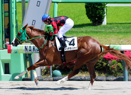 やっちまった速報(最新記事7)