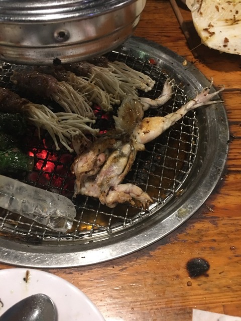 【閲覧注意】カエル、しゃぶしゃぶにされて嫌がるｗｗｗ | 【閲覧注意】カエル、しゃぶしゃぶにされて嫌がるｗｗｗ | 【閲覧注意】カエル、しゃぶしゃぶにされて嫌がるｗｗｗ | やっちまった速報(画像21222443463543_3)