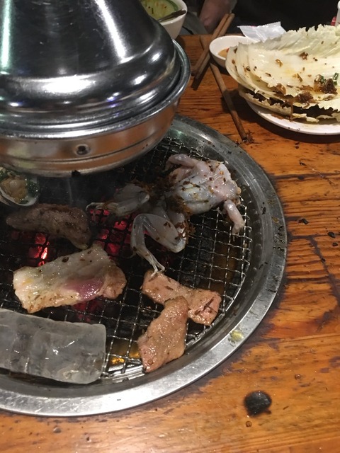 【閲覧注意】カエル、しゃぶしゃぶにされて嫌がるｗｗｗ | 【閲覧注意】カエル、しゃぶしゃぶにされて嫌がるｗｗｗ | 【閲覧注意】カエル、しゃぶしゃぶにされて嫌がるｗｗｗ | 【閲覧注意】カエル、しゃぶしゃぶにされて嫌がるｗｗｗ | やっちまった速報(画像21222444007864_4)