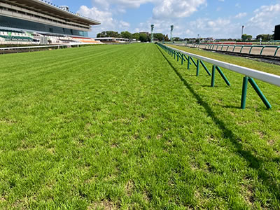 ユニバ「Lミリオンゴッド神々の軌跡」サウンドトラックの配信がスタート！
 | やっちまった速報(最新記事1)