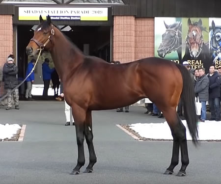 ネット公認映画「アイ・アム・レジェンド」、まさかの続編製作決定ｗｗｗｗｗｗ
 | やっちまった速報(ピックアップ2)