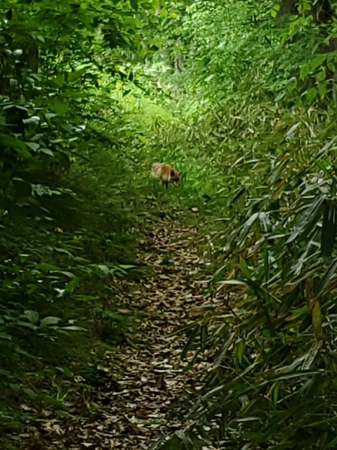 【画像】イタチとかいう動物を見たことあるやつ、存在しないww | 【画像】イタチとかいう動物を見たことあるやつ、存在しないww | 【画像】イタチとかいう動物を見たことあるやつ、存在しないww | 【画像】イタチとかいう動物を見たことあるやつ、存在しないww | 【画像】イタチとかいう動物を見たことあるやつ、存在しないww | 【画像】イタチとかいう動物を見たことあるやつ、存在しないww | 【画像】イタチとかいう動物を見たことあるやつ、存在しないww | 【画像】イタチとかいう動物を見たことあるやつ、存在しないww | 【画像】イタチとかいう動物を見たことあるやつ、存在しないww | 【画像】イタチとかいう動物を見たことあるやつ、存在しないww | 【画像】イタチとかいう動物を見たことあるやつ、存在しないww | 【画像】イタチとかいう動物を見たことあるやつ、存在しないww | やっちまった速報(画像24042529486053_12)