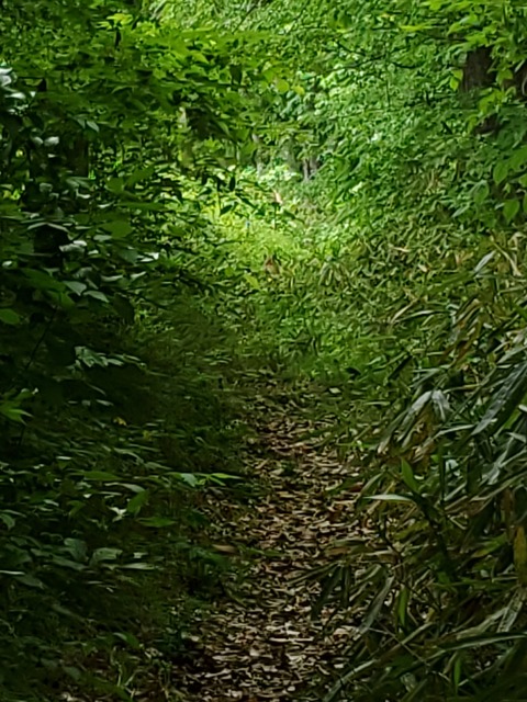 【画像】イタチとかいう動物を見たことあるやつ、存在しないww | 【画像】イタチとかいう動物を見たことあるやつ、存在しないww | 【画像】イタチとかいう動物を見たことあるやつ、存在しないww | 【画像】イタチとかいう動物を見たことあるやつ、存在しないww | 【画像】イタチとかいう動物を見たことあるやつ、存在しないww | 【画像】イタチとかいう動物を見たことあるやつ、存在しないww | 【画像】イタチとかいう動物を見たことあるやつ、存在しないww | 【画像】イタチとかいう動物を見たことあるやつ、存在しないww | 【画像】イタチとかいう動物を見たことあるやつ、存在しないww | 【画像】イタチとかいう動物を見たことあるやつ、存在しないww | 【画像】イタチとかいう動物を見たことあるやつ、存在しないww | 【画像】イタチとかいう動物を見たことあるやつ、存在しないww | 【画像】イタチとかいう動物を見たことあるやつ、存在しないww | 【画像】イタチとかいう動物を見たことあるやつ、存在しないww | 【画像】イタチとかいう動物を見たことあるやつ、存在しないww | やっちまった速報(画像24042530956873_15)