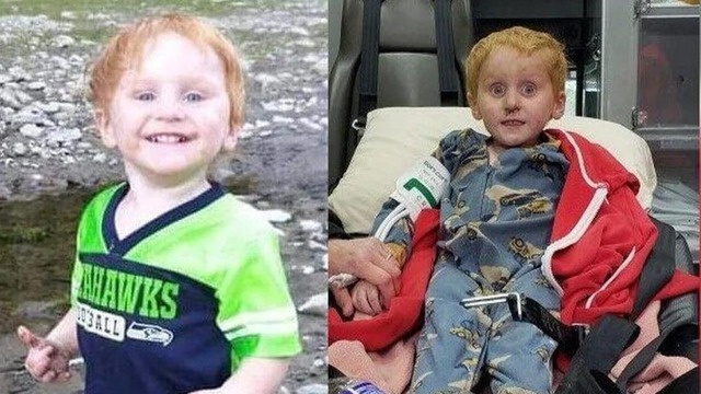 【画像】捨て犬の軍団、山で野生化してしまうｗｗｗｗｗｗｗ | 【画像】捨て犬の軍団、山で野生化してしまうｗｗｗｗｗｗｗ | 【画像】捨て犬の軍団、山で野生化してしまうｗｗｗｗｗｗｗ | 【画像】捨て犬の軍団、山で野生化してしまうｗｗｗｗｗｗｗ | 【画像】捨て犬の軍団、山で野生化してしまうｗｗｗｗｗｗｗ | 【画像】捨て犬の軍団、山で野生化してしまうｗｗｗｗｗｗｗ | 【画像】捨て犬の軍団、山で野生化してしまうｗｗｗｗｗｗｗ | 【画像】捨て犬の軍団、山で野生化してしまうｗｗｗｗｗｗｗ | 【画像】捨て犬の軍団、山で野生化してしまうｗｗｗｗｗｗｗ | 【画像】捨て犬の軍団、山で野生化してしまうｗｗｗｗｗｗｗ | 【画像】捨て犬の軍団、山で野生化してしまうｗｗｗｗｗｗｗ | 【画像】捨て犬の軍団、山で野生化してしまうｗｗｗｗｗｗｗ | やっちまった速報(画像24072514813452_12)