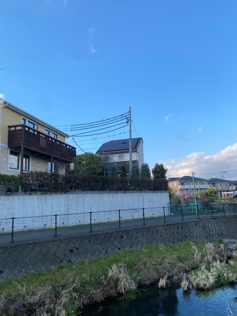 【画像】捨て犬の軍団、山で野生化してしまうｗｗｗｗｗｗｗ | 【画像】捨て犬の軍団、山で野生化してしまうｗｗｗｗｗｗｗ | 【画像】捨て犬の軍団、山で野生化してしまうｗｗｗｗｗｗｗ | 【画像】捨て犬の軍団、山で野生化してしまうｗｗｗｗｗｗｗ | 【画像】捨て犬の軍団、山で野生化してしまうｗｗｗｗｗｗｗ | 【画像】捨て犬の軍団、山で野生化してしまうｗｗｗｗｗｗｗ | 【画像】捨て犬の軍団、山で野生化してしまうｗｗｗｗｗｗｗ | 【画像】捨て犬の軍団、山で野生化してしまうｗｗｗｗｗｗｗ | 【画像】捨て犬の軍団、山で野生化してしまうｗｗｗｗｗｗｗ | 【画像】捨て犬の軍団、山で野生化してしまうｗｗｗｗｗｗｗ | 【画像】捨て犬の軍団、山で野生化してしまうｗｗｗｗｗｗｗ | 【画像】捨て犬の軍団、山で野生化してしまうｗｗｗｗｗｗｗ | 【画像】捨て犬の軍団、山で野生化してしまうｗｗｗｗｗｗｗ | 【画像】捨て犬の軍団、山で野生化してしまうｗｗｗｗｗｗｗ | 【画像】捨て犬の軍団、山で野生化してしまうｗｗｗｗｗｗｗ | やっちまった速報(画像24072516165844_15)