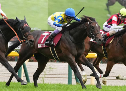 皐月賞８着ラージアンサンブルが右前肢骨折、手術へ
 | やっちまった速報(ピックアップ6)