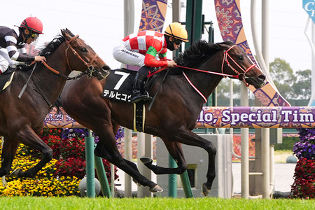 やっちまった速報(最新記事19)