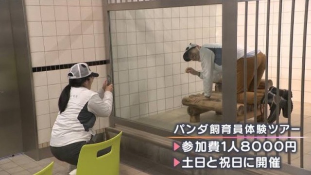 【悲報】中国、アメリカにパンダを貸与する事が決定するｗｗｗｗｗｗｗｗ | 【悲報】中国、アメリカにパンダを貸与する事が決定するｗｗｗｗｗｗｗｗ | 【悲報】中国、アメリカにパンダを貸与する事が決定するｗｗｗｗｗｗｗｗ | やっちまった速報(画像25122453417426_3)