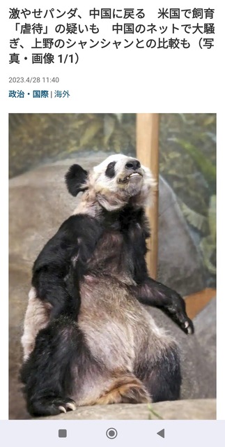 【悲報】中国、アメリカにパンダを貸与する事が決定するｗｗｗｗｗｗｗｗ | 【悲報】中国、アメリカにパンダを貸与する事が決定するｗｗｗｗｗｗｗｗ | 【悲報】中国、アメリカにパンダを貸与する事が決定するｗｗｗｗｗｗｗｗ | 【悲報】中国、アメリカにパンダを貸与する事が決定するｗｗｗｗｗｗｗｗ | 【悲報】中国、アメリカにパンダを貸与する事が決定するｗｗｗｗｗｗｗｗ | 【悲報】中国、アメリカにパンダを貸与する事が決定するｗｗｗｗｗｗｗｗ | やっちまった速報(画像25122454756031_6)