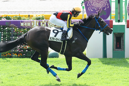 【画像】ファイルーズあいさん、外国人にとんでもない勘違いをされていたｗｗｗｗ
 | やっちまった速報(最新記事17)