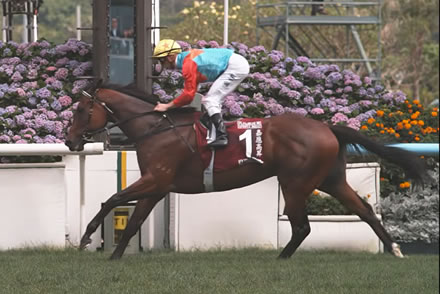 【画像】ファイルーズあいさん、外国人にとんでもない勘違いをされていたｗｗｗｗ
 | やっちまった速報(最新記事7)