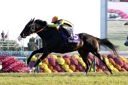 【競馬予想】[4]第86回皐月賞(GⅠ) /2026
 | やっちまった速報(最新記事2)