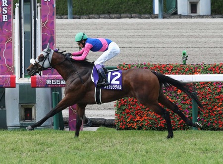 日本馬より完全に香港馬の方が強くなっている件
 | やっちまった速報(最新記事7)