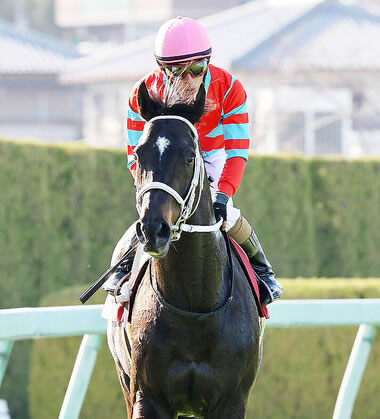 日本馬より完全に香港馬の方が強くなっている件
 | やっちまった速報(最新記事3)