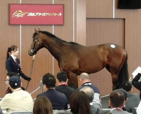 3万入れて出なかった台にハゲが座って1回転でレバブル
 | やっちまった速報(最新記事9)