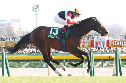 【QE2世C】ロマンチックウォリアーが快勝！マスカレードボール最後方から届かず２着
 | やっちまった速報(最新記事1)