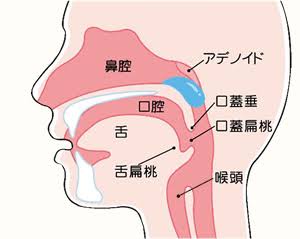【画像】蓄膿症、顔の中がヤバイ状態になってしまう・・・・・ | 【画像】蓄膿症、顔の中がヤバイ状態になってしまう・・・・・ | 【画像】蓄膿症、顔の中がヤバイ状態になってしまう・・・・・ | 【画像】蓄膿症、顔の中がヤバイ状態になってしまう・・・・・ | 【画像】蓄膿症、顔の中がヤバイ状態になってしまう・・・・・ | 【画像】蓄膿症、顔の中がヤバイ状態になってしまう・・・・・ | やっちまった速報(画像02031745558759_6)