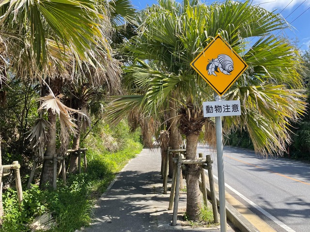 【画像】GWの江ノ島、限界突破ｗｗｗｗｗｗｗ | 【画像】GWの江ノ島、限界突破ｗｗｗｗｗｗｗ | 【画像】GWの江ノ島、限界突破ｗｗｗｗｗｗｗ | 【画像】GWの江ノ島、限界突破ｗｗｗｗｗｗｗ | 【画像】GWの江ノ島、限界突破ｗｗｗｗｗｗｗ | 【画像】GWの江ノ島、限界突破ｗｗｗｗｗｗｗ | 【画像】GWの江ノ島、限界突破ｗｗｗｗｗｗｗ | 【画像】GWの江ノ島、限界突破ｗｗｗｗｗｗｗ | 【画像】GWの江ノ島、限界突破ｗｗｗｗｗｗｗ | 【画像】GWの江ノ島、限界突破ｗｗｗｗｗｗｗ | 【画像】GWの江ノ島、限界突破ｗｗｗｗｗｗｗ | 【画像】GWの江ノ島、限界突破ｗｗｗｗｗｗｗ | 【画像】GWの江ノ島、限界突破ｗｗｗｗｗｗｗ | 【画像】GWの江ノ島、限界突破ｗｗｗｗｗｗｗ | 【画像】GWの江ノ島、限界突破ｗｗｗｗｗｗｗ | 【画像】GWの江ノ島、限界突破ｗｗｗｗｗｗｗ | 【画像】GWの江ノ島、限界突破ｗｗｗｗｗｗｗ | 【画像】GWの江ノ島、限界突破ｗｗｗｗｗｗｗ | 【画像】GWの江ノ島、限界突破ｗｗｗｗｗｗｗ | 【画像】GWの江ノ島、限界突破ｗｗｗｗｗｗｗ | 【画像】GWの江ノ島、限界突破ｗｗｗｗｗｗｗ | 【画像】GWの江ノ島、限界突破ｗｗｗｗｗｗｗ | 【画像】GWの江ノ島、限界突破ｗｗｗｗｗｗｗ | 【画像】GWの江ノ島、限界突破ｗｗｗｗｗｗｗ | 【画像】GWの江ノ島、限界突破ｗｗｗｗｗｗｗ | やっちまった速報(画像06110725969345_25)