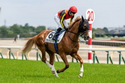 ダービーがロブチェン1強ムードでもない理由[2]
 | やっちまった速報(ピックアップ4)