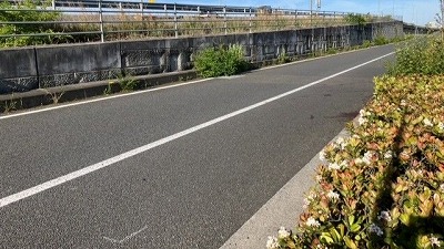 【衝撃】スポーツタイプの自転車が停車中の車に激突してしまった結果・・・・ | やっちまった速報(画像10110754637561_1)
