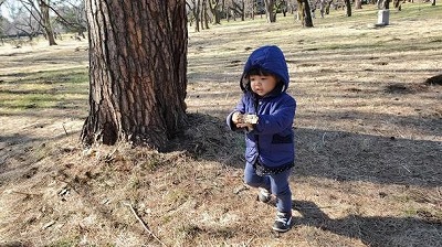 火雷 紅莉栖（ほのいかづち くりす）君、大相撲デビュー
 | やっちまった速報(ピックアップ3)
