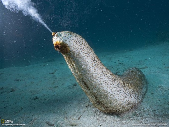 【衝撃】「心臓を破壊されても死なない生物」ランキング、ついに発表されるwwwwwwwwwwwwwwww | 【衝撃】「心臓を破壊されても死なない生物」ランキング、ついに発表されるwwwwwwwwwwwwwwww | 【衝撃】「心臓を破壊されても死なない生物」ランキング、ついに発表されるwwwwwwwwwwwwwwww | 【衝撃】「心臓を破壊されても死なない生物」ランキング、ついに発表されるwwwwwwwwwwwwwwww | 【衝撃】「心臓を破壊されても死なない生物」ランキング、ついに発表されるwwwwwwwwwwwwwwww | 【衝撃】「心臓を破壊されても死なない生物」ランキング、ついに発表されるwwwwwwwwwwwwwwww | やっちまった速報(画像12230719533568_6)