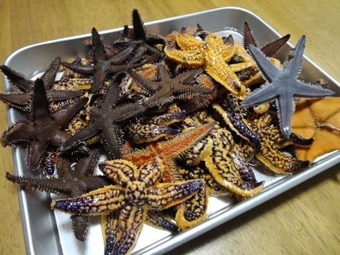 【衝撃】「心臓を破壊されても死なない生物」ランキング、ついに発表されるwwwwwwwwwwwwwwww | 【衝撃】「心臓を破壊されても死なない生物」ランキング、ついに発表されるwwwwwwwwwwwwwwww | 【衝撃】「心臓を破壊されても死なない生物」ランキング、ついに発表されるwwwwwwwwwwwwwwww | 【衝撃】「心臓を破壊されても死なない生物」ランキング、ついに発表されるwwwwwwwwwwwwwwww | 【衝撃】「心臓を破壊されても死なない生物」ランキング、ついに発表されるwwwwwwwwwwwwwwww | 【衝撃】「心臓を破壊されても死なない生物」ランキング、ついに発表されるwwwwwwwwwwwwwwww | 【衝撃】「心臓を破壊されても死なない生物」ランキング、ついに発表されるwwwwwwwwwwwwwwww | やっちまった速報(画像12230719988359_7)