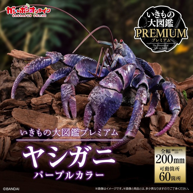 【画像】えちえちフィギュア買ったよ | 【画像】えちえちフィギュア買ったよ | 【画像】えちえちフィギュア買ったよ | 【画像】えちえちフィギュア買ったよ | 【画像】えちえちフィギュア買ったよ | 【画像】えちえちフィギュア買ったよ | 【画像】えちえちフィギュア買ったよ | 【画像】えちえちフィギュア買ったよ | 【画像】えちえちフィギュア買ったよ | 【画像】えちえちフィギュア買ったよ | 【画像】えちえちフィギュア買ったよ | 【画像】えちえちフィギュア買ったよ | 【画像】えちえちフィギュア買ったよ | 【画像】えちえちフィギュア買ったよ | 【画像】えちえちフィギュア買ったよ | 【画像】えちえちフィギュア買ったよ | 【画像】えちえちフィギュア買ったよ | 【画像】えちえちフィギュア買ったよ | 【画像】えちえちフィギュア買ったよ | 【画像】えちえちフィギュア買ったよ | 【画像】えちえちフィギュア買ったよ | 【画像】えちえちフィギュア買ったよ | 【画像】えちえちフィギュア買ったよ | 【画像】えちえちフィギュア買ったよ | 【画像】えちえちフィギュア買ったよ | 【画像】えちえちフィギュア買ったよ | 【画像】えちえちフィギュア買ったよ | 【画像】えちえちフィギュア買ったよ | 【画像】えちえちフィギュア買ったよ | 【画像】えちえちフィギュア買ったよ | 【画像】えちえちフィギュア買ったよ | 【画像】えちえちフィギュア買ったよ | 【画像】えちえちフィギュア買ったよ | 【画像】えちえちフィギュア買ったよ | 【画像】えちえちフィギュア買ったよ | 【画像】えちえちフィギュア買ったよ | 【画像】えちえちフィギュア買ったよ | 【画像】えちえちフィギュア買ったよ | 【画像】えちえちフィギュア買ったよ | やっちまった速報(画像19030526255038_39)