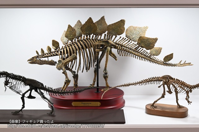 【画像】えちえちフィギュア買ったよ | 【画像】えちえちフィギュア買ったよ | 【画像】えちえちフィギュア買ったよ | 【画像】えちえちフィギュア買ったよ | 【画像】えちえちフィギュア買ったよ | 【画像】えちえちフィギュア買ったよ | 【画像】えちえちフィギュア買ったよ | 【画像】えちえちフィギュア買ったよ | 【画像】えちえちフィギュア買ったよ | 【画像】えちえちフィギュア買ったよ | 【画像】えちえちフィギュア買ったよ | 【画像】えちえちフィギュア買ったよ | 【画像】えちえちフィギュア買ったよ | 【画像】えちえちフィギュア買ったよ | 【画像】えちえちフィギュア買ったよ | 【画像】えちえちフィギュア買ったよ | 【画像】えちえちフィギュア買ったよ | 【画像】えちえちフィギュア買ったよ | 【画像】えちえちフィギュア買ったよ | 【画像】えちえちフィギュア買ったよ | 【画像】えちえちフィギュア買ったよ | 【画像】えちえちフィギュア買ったよ | 【画像】えちえちフィギュア買ったよ | 【画像】えちえちフィギュア買ったよ | 【画像】えちえちフィギュア買ったよ | 【画像】えちえちフィギュア買ったよ | 【画像】えちえちフィギュア買ったよ | 【画像】えちえちフィギュア買ったよ | 【画像】えちえちフィギュア買ったよ | 【画像】えちえちフィギュア買ったよ | 【画像】えちえちフィギュア買ったよ | 【画像】えちえちフィギュア買ったよ | 【画像】えちえちフィギュア買ったよ | 【画像】えちえちフィギュア買ったよ | 【画像】えちえちフィギュア買ったよ | 【画像】えちえちフィギュア買ったよ | 【画像】えちえちフィギュア買ったよ | 【画像】えちえちフィギュア買ったよ | 【画像】えちえちフィギュア買ったよ | 【画像】えちえちフィギュア買ったよ | 【画像】えちえちフィギュア買ったよ | 【画像】えちえちフィギュア買ったよ | 【画像】えちえちフィギュア買ったよ | 【画像】えちえちフィギュア買ったよ | 【画像】えちえちフィギュア買ったよ | 【画像】えちえちフィギュア買ったよ | 【画像】えちえちフィギュア買ったよ | 【画像】えちえちフィギュア買ったよ | 【画像】えちえちフィギュア買ったよ | 【画像】えちえちフィギュア買ったよ | 【画像】えちえちフィギュア買ったよ | 【画像】えちえちフィギュア買ったよ | 【画像】えちえちフィギュア買ったよ | 【画像】えちえちフィギュア買ったよ | 【画像】えちえちフィギュア買ったよ | 【画像】えちえちフィギュア買ったよ | 【画像】えちえちフィギュア買ったよ | 【画像】えちえちフィギュア買ったよ | 【画像】えちえちフィギュア買ったよ | 【画像】えちえちフィギュア買ったよ | 【画像】えちえちフィギュア買ったよ | 【画像】えちえちフィギュア買ったよ | 【画像】えちえちフィギュア買ったよ | やっちまった速報(画像19030537488253_63)