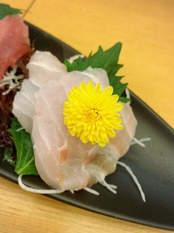 ホリエモン「マジレスすると、お前ら食用菊なんて食わないだろ」 | ホリエモン「マジレスすると、お前ら食用菊なんて食わないだろ」 | ホリエモン「マジレスすると、お前ら食用菊なんて食わないだろ」 | ホリエモン「マジレスすると、お前ら食用菊なんて食わないだろ」 | やっちまった速報(画像24020827644988_4)