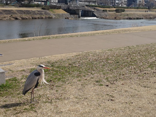 【悲報】すずめとかいう激可愛鳥、ガチで絶滅危惧種並に減るスピードが早いらしい… | 【悲報】すずめとかいう激可愛鳥、ガチで絶滅危惧種並に減るスピードが早いらしい… | 【悲報】すずめとかいう激可愛鳥、ガチで絶滅危惧種並に減るスピードが早いらしい… | 【悲報】すずめとかいう激可愛鳥、ガチで絶滅危惧種並に減るスピードが早いらしい… | 【悲報】すずめとかいう激可愛鳥、ガチで絶滅危惧種並に減るスピードが早いらしい… | 【悲報】すずめとかいう激可愛鳥、ガチで絶滅危惧種並に減るスピードが早いらしい… | 【悲報】すずめとかいう激可愛鳥、ガチで絶滅危惧種並に減るスピードが早いらしい… | 【悲報】すずめとかいう激可愛鳥、ガチで絶滅危惧種並に減るスピードが早いらしい… | 【悲報】すずめとかいう激可愛鳥、ガチで絶滅危惧種並に減るスピードが早いらしい… | 【悲報】すずめとかいう激可愛鳥、ガチで絶滅危惧種並に減るスピードが早いらしい… | 【悲報】すずめとかいう激可愛鳥、ガチで絶滅危惧種並に減るスピードが早いらしい… | やっちまった速報(画像24080813845655_11)