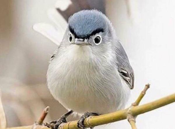 【悲報】すずめとかいう激可愛鳥、ガチで絶滅危惧種並に減るスピードが早いらしい… | 【悲報】すずめとかいう激可愛鳥、ガチで絶滅危惧種並に減るスピードが早いらしい… | 【悲報】すずめとかいう激可愛鳥、ガチで絶滅危惧種並に減るスピードが早いらしい… | 【悲報】すずめとかいう激可愛鳥、ガチで絶滅危惧種並に減るスピードが早いらしい… | 【悲報】すずめとかいう激可愛鳥、ガチで絶滅危惧種並に減るスピードが早いらしい… | 【悲報】すずめとかいう激可愛鳥、ガチで絶滅危惧種並に減るスピードが早いらしい… | 【悲報】すずめとかいう激可愛鳥、ガチで絶滅危惧種並に減るスピードが早いらしい… | 【悲報】すずめとかいう激可愛鳥、ガチで絶滅危惧種並に減るスピードが早いらしい… | 【悲報】すずめとかいう激可愛鳥、ガチで絶滅危惧種並に減るスピードが早いらしい… | 【悲報】すずめとかいう激可愛鳥、ガチで絶滅危惧種並に減るスピードが早いらしい… | 【悲報】すずめとかいう激可愛鳥、ガチで絶滅危惧種並に減るスピードが早いらしい… | 【悲報】すずめとかいう激可愛鳥、ガチで絶滅危惧種並に減るスピードが早いらしい… | やっちまった速報(画像24080814165899_12)