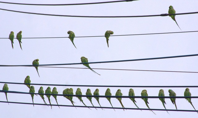 【悲報】すずめとかいう激可愛鳥、ガチで絶滅危惧種並に減るスピードが早いらしい… | 【悲報】すずめとかいう激可愛鳥、ガチで絶滅危惧種並に減るスピードが早いらしい… | 【悲報】すずめとかいう激可愛鳥、ガチで絶滅危惧種並に減るスピードが早いらしい… | 【悲報】すずめとかいう激可愛鳥、ガチで絶滅危惧種並に減るスピードが早いらしい… | 【悲報】すずめとかいう激可愛鳥、ガチで絶滅危惧種並に減るスピードが早いらしい… | 【悲報】すずめとかいう激可愛鳥、ガチで絶滅危惧種並に減るスピードが早いらしい… | 【悲報】すずめとかいう激可愛鳥、ガチで絶滅危惧種並に減るスピードが早いらしい… | 【悲報】すずめとかいう激可愛鳥、ガチで絶滅危惧種並に減るスピードが早いらしい… | 【悲報】すずめとかいう激可愛鳥、ガチで絶滅危惧種並に減るスピードが早いらしい… | 【悲報】すずめとかいう激可愛鳥、ガチで絶滅危惧種並に減るスピードが早いらしい… | 【悲報】すずめとかいう激可愛鳥、ガチで絶滅危惧種並に減るスピードが早いらしい… | 【悲報】すずめとかいう激可愛鳥、ガチで絶滅危惧種並に減るスピードが早いらしい… | 【悲報】すずめとかいう激可愛鳥、ガチで絶滅危惧種並に減るスピードが早いらしい… | 【悲報】すずめとかいう激可愛鳥、ガチで絶滅危惧種並に減るスピードが早いらしい… | 【悲報】すずめとかいう激可愛鳥、ガチで絶滅危惧種並に減るスピードが早いらしい… | 【悲報】すずめとかいう激可愛鳥、ガチで絶滅危惧種並に減るスピードが早いらしい… | 【悲報】すずめとかいう激可愛鳥、ガチで絶滅危惧種並に減るスピードが早いらしい… | 【悲報】すずめとかいう激可愛鳥、ガチで絶滅危惧種並に減るスピードが早いらしい… | 【悲報】すずめとかいう激可愛鳥、ガチで絶滅危惧種並に減るスピードが早いらしい… | 【悲報】すずめとかいう激可愛鳥、ガチで絶滅危惧種並に減るスピードが早いらしい… | 【悲報】すずめとかいう激可愛鳥、ガチで絶滅危惧種並に減るスピードが早いらしい… | やっちまった速報(画像24080817044273_21)